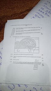 3.2 The diagram below represents the human brain.3.2.1 Identi... | Filo