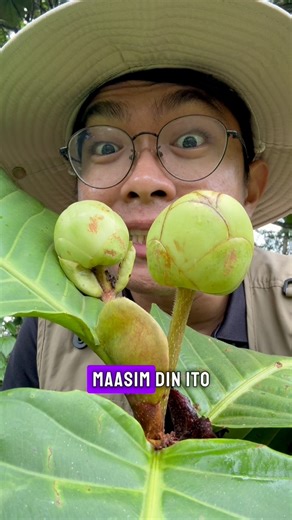 713K views · 20K reactions | wild fruits that you can eat in the forest | Ethan Hernandez | Facebook