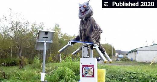 Japanese ‘Monster Wolf’ Aims to Scare Off Wild Bears