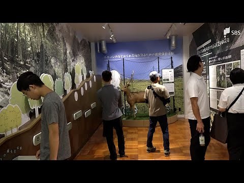 南アルプスの自然や文化など学ぶ「南アルプスユネスコエコパークミュージアム」静岡・井川地区にオープン