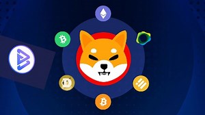 Bitgert बना Crypto मार्केट का नया स्टार, शिबा इनु की बजाए निवेशकों की पहली पसंद