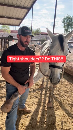 2.8K views · 417 reactions | Does your horse have tight shoulders?? Do this! This is my favorite stretch to help loosen up the shoulders! Would you like to learn how to do this? Get the free step-by-step tutorial by commenting the word “stretch” or visiting the link in my bio! #sporthorsechiropractic | Sport Horse Chiropractic | Facebook