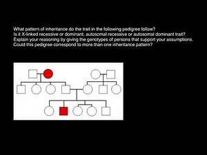 How to Define Mode of Inheritance Using Pedigree Chart