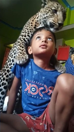 amazing video #youtubecoppa #anime #remix #celebrity #funny #ekmotahathighumechala #love #comedy 📸👏