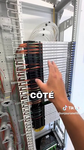 Local en Fibre Optique : Une Découverte Rarissime