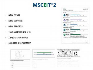 About MSCEIT 2!