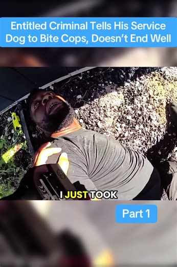 Entitled Criminal Tells His Service Dog to Bite Cops, Doesn’t End Well #cops #police #policeofficer #copsusa🚔🇺🇸 #foryou