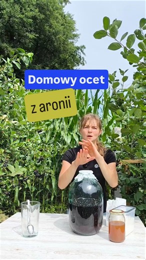 Domowy ocet aroniowy # #inspiracjeogrodowe #ocet #owoce