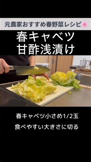 春キャベツと甘酢ガリの浅漬け
