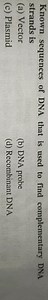 Known sequences of DNA that is used to find complementary DNA s... | Filo