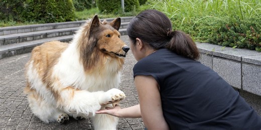 Man who transformed himself into a dog says he's now looking for puppy love