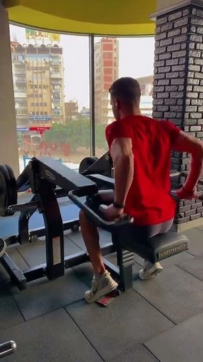 Seated Dip Machine [Chest]