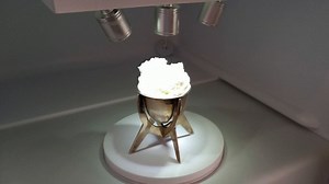 Artist uses a unique ingredient to make ice cream