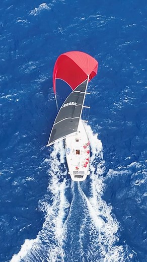 Ride the 🌊 through the finish line with all the first monohull finishers in Hawaii 🌈🌺 😍! 🎥: @chrislove_productions #transpacrace | Transpac