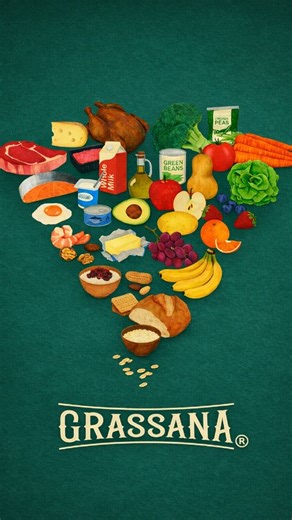 Grassana® Grassa animal 100% natural on Instagram: "La nueva pirámide nutricional vuelve a lo esencial: Proteína animal para fuerza y reparación Grasas reales para energía, hormonas y saciedad 🍖🥓🧈 Lo natural como complemento, no como base Menos ultraprocesados. Más nutrición real. Grassana. Volver a lo que siempre funcionó."