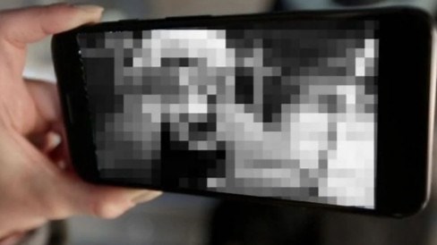 Video Syur 13 Menit Diduga Mahasiswa KKN di Lombok Beredar di WhatsApp, Polisi Telusuri dan Minta Konten Tidak Disebarkan