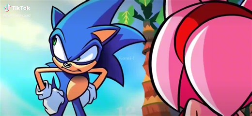 @sonic the hedgehog x amy rose