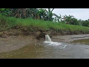 IRIGASI ALAM DARI AIR PASANG SURUT