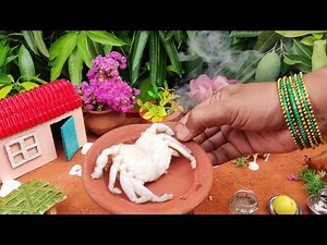 Miniature Crab Masala | Mini Crab Recipe | Miniature Cooking | Mini Cooking | Mini Food Inn