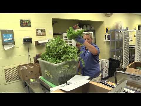 A day in the life of a zookeeper