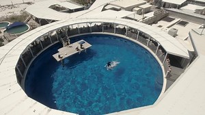 Discover exciting marine life at Gulfarium Marine Adventure Park in Fort Walton Beach, Florida. Your visit will be filled with fun, adventure and new friends, including dolphins, sea lions, penguins, sharks and more 🐬 🦜🐠 👉 FREE for kids age 2 & under | Discounted for kids age 3-12 | http://bit.do/DiscoverGulfarium | Gulfarium Marine Adventure Park