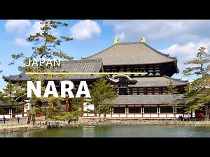 Top 4 Places To Visit In Nara | Japan Travel Guide