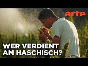 Kiff im Rif: Marokkos Cannabis-Wende | 360° Reportage | ARTE