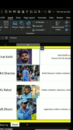 🖼 Image Alternative Formula🤯🤯 Insert image in Excel🔥🔥#excel #image formula #formula #dataextractor