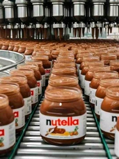 Have you ever wondered how hazelnut chocolate is made? Join us on this fascinating journey from the hazelnut grove to your kitchen table. See every step of the process, from harvesting the nuts to the final packaging and delivery. 🍫✨ #nutella #chocolate #hazelnut #factory