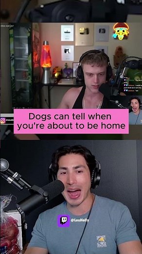 Your dog knows when you're about to be home