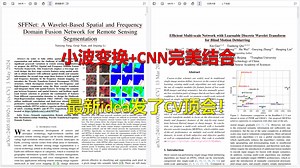 小波变换 CNN完美融合，最新idea发了CV顶会！这思路简直绝了！