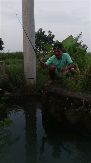 sport mancing ikan betik favorit keluarga #family #fishing #mancing #ikan #mancingmania #funny