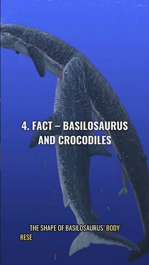5 Incredible Facts About Basilosaurus – The Ancient Ocean Predator! 🌊🦈 #prehistoriclife #dinosaurs