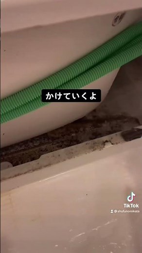 【閲覧注意】エプロン内部を掃除するとお風呂の黒カビ予防の効果絶大です☺️#お風呂掃除 #浴室掃除 #エプロン掃除 #黒かび予防 #shorts