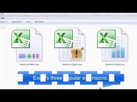 .xlsb vs .xlsm vs .xlsx - (Users' favorite file extensions)