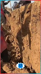 Smart work makes the dream work | Angel Finesse