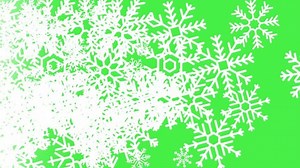 Snow Flakes Fall On Green Screen Stock Footage Video (100% Royalty-free) 1099248879 | Shutterstock