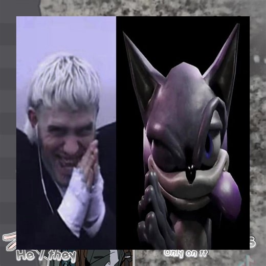 Understanding Joost Media and Its Impact