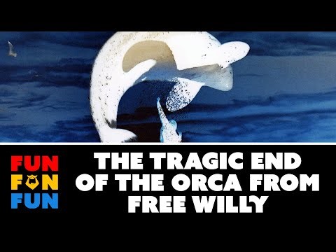 The Free Willy Orca: A Tragic End (Clip) | Fun Fun Fun