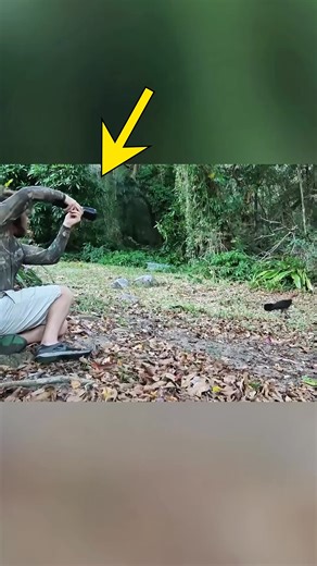 3.4K views · 3 comments | The Net Launcher That Catches Anything in Seconds ❤️ . . . #Didyouknow #dailyfacts #factsyoudidntknow #sciencefactslover #inspiration | How Facts | Facebook