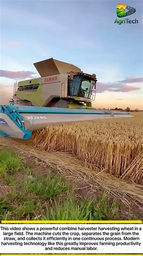 Modern Combine Harvester | High Speed Wheat Harvesting Machine