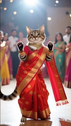 🐾 The Most Talented Cat Dancer in the World! 🌍💃 | cute kittens💖