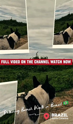 Relaxing Beach Walk in Brazil 🇧🇷