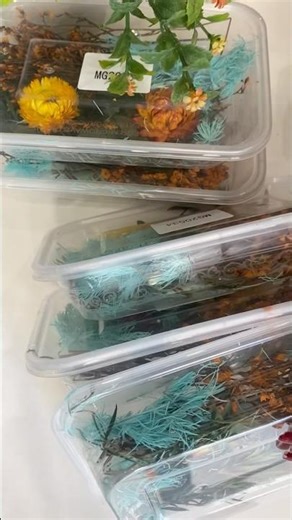 Dry Flower Box#dryflower #resin #resinart #artist #craftideas #craftsupplies #stationery #fun #vlog