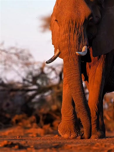 Exploring the Untouched Beauty of African Landscapes