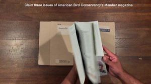 When it comes to conserving birds across the Americas, Every Acre Counts. Join now and receive your free book! Over the past 30 years, American Bird Conservancy (ABC) has conserved millions of acres of habitat, benefiting more than 3,000 bird species in the Western Hemisphere. But there is much more to do to conserve wild birds and their habitats — and you can help. Become a Member now at a Special Introductory Rate of just $20 or more and enjoy: 🦅 "Bringing Back the Birds" — Receive this award