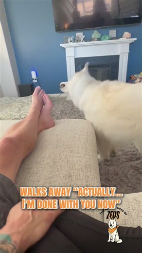 When the scratches expire mid-session