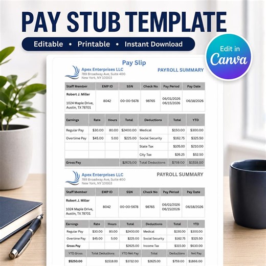 Pay Stub Template | Canva Editable Paycheck Stub | Employee Payroll Statement | Salary Slip Template | Digital Download - Etsy