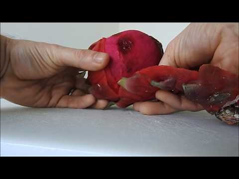 How to Peel and Eat a Dragonfruit