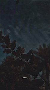 Eso nomas - José José | A l e r m a